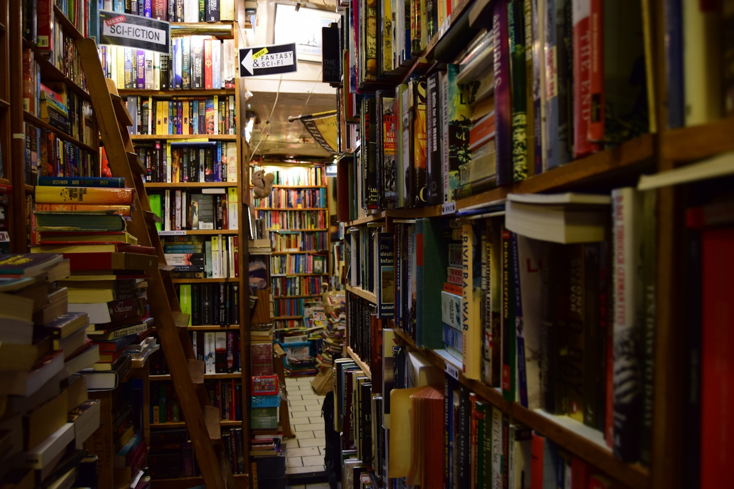 Why Sarah A Hoyt’s Space Opera Resonates Today
